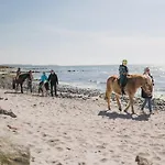 Buedlfarm - Der Familien-erlebnishof In Strandnaehe Фемарн