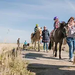 Buedlfarm - Der Familien-erlebnishof In Strandnaehe Gospodarstwo wiejskie Fehmarn
