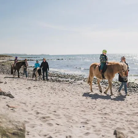 Buedlfarm - Der Familien-erlebnishof In Strandnaehe Femern