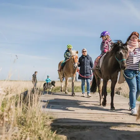 Buedlfarm - Der Familien-erlebnishof In Strandnaehe Landsted Femern