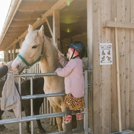 Venkovský dům Buedlfarm - Der Familien-erlebnishof In Strandnaehe *