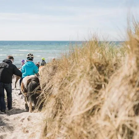 Lantställe Buedlfarm - Der Familien-erlebnishof In Strandnaehe