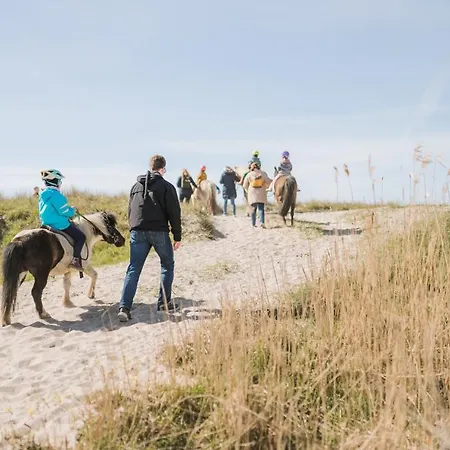 Buedlfarm - Der Familien-erlebnishof In Strandnaehe Fehmarn