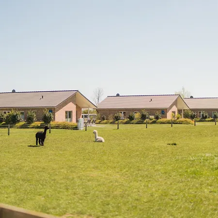Buedlfarm - Der Familien-erlebnishof In Strandnaehe *