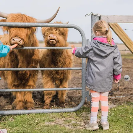 Venkovský dům Buedlfarm - Der Familien-erlebnishof In Strandnaehe *