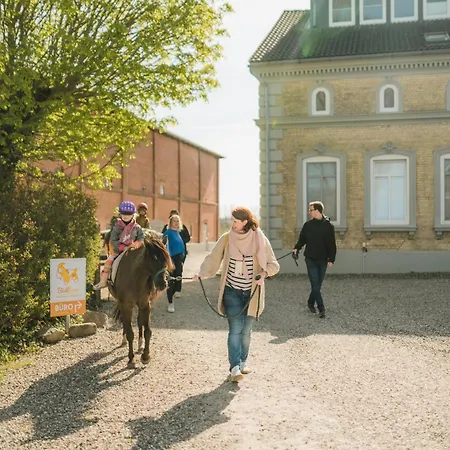 Buedlfarm - Der Familien-erlebnishof In Strandnaehe * Fehmarn
