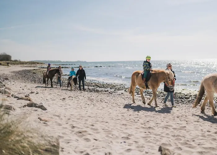 Buedlfarm - Der Familien-erlebnishof In Strandnaehe Fehmarn