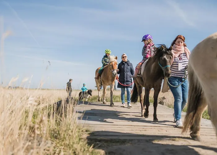 Buedlfarm - Der Familien-erlebnishof In Strandnaehe Lantställe Fehmarn