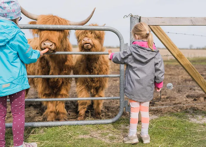 Lantställe Buedlfarm - Der Familien-erlebnishof In Strandnaehe *